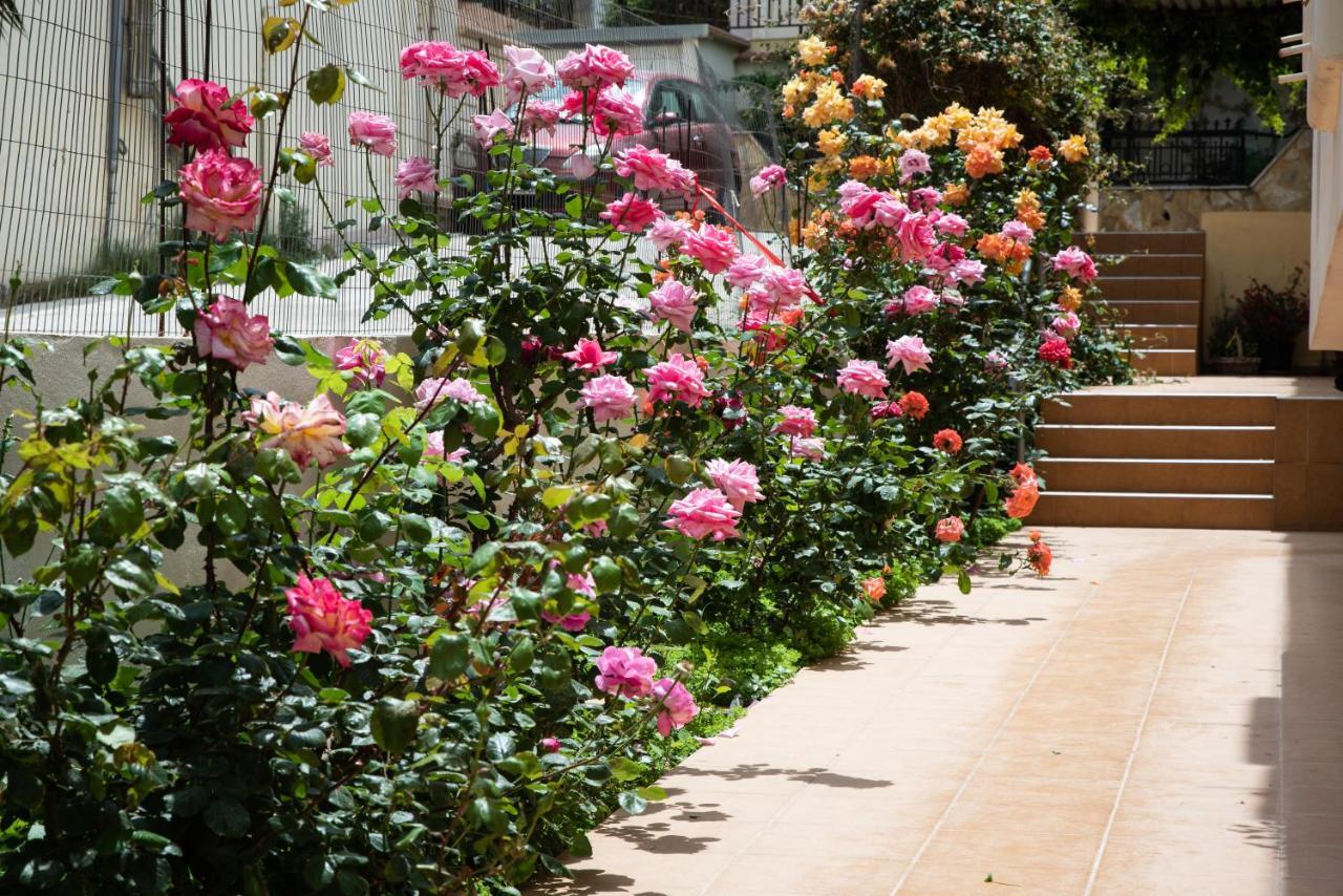 Dreamy Holidays Apartment Chania  Zewnętrze zdjęcie