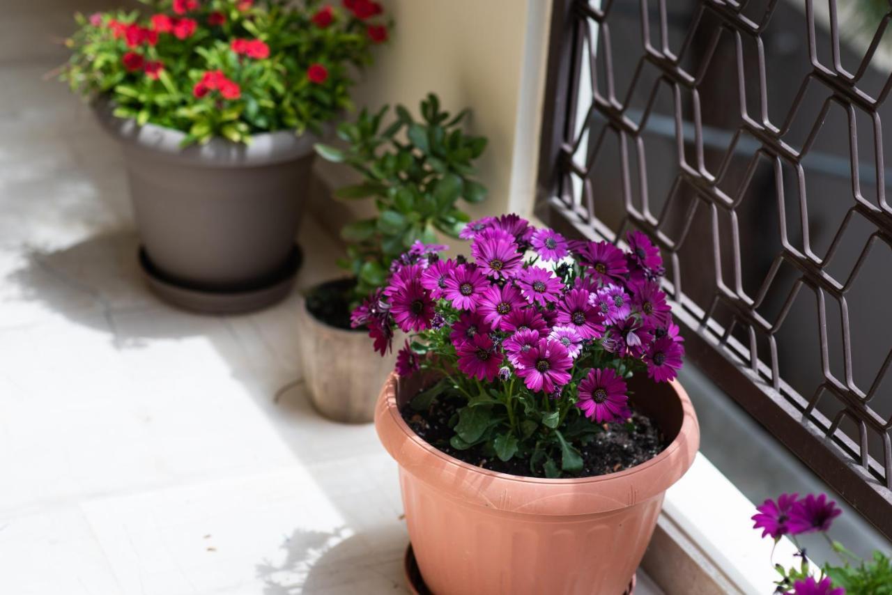 Dreamy Holidays Apartment Chania  Zewnętrze zdjęcie