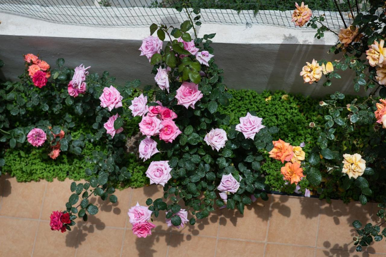 Dreamy Holidays Apartment Chania  Zewnętrze zdjęcie