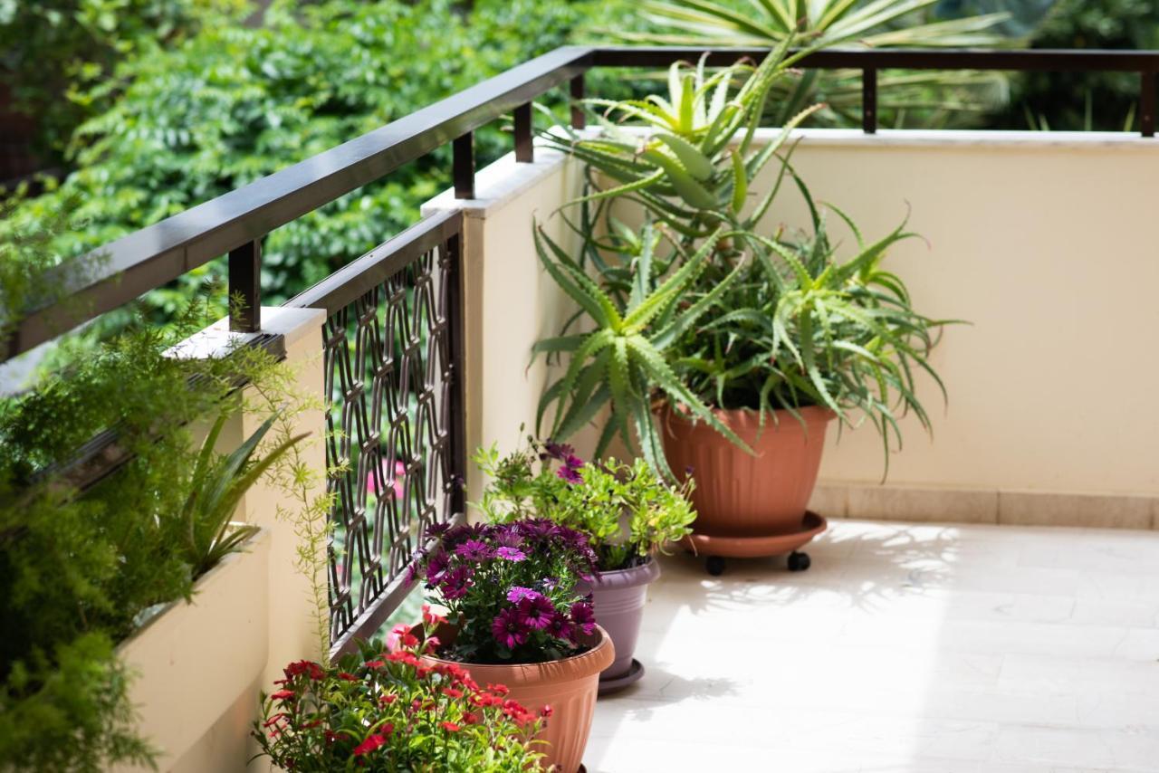 Dreamy Holidays Apartment Chania  Zewnętrze zdjęcie